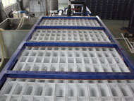 30 Ton Direct System Block Ice Plant_4